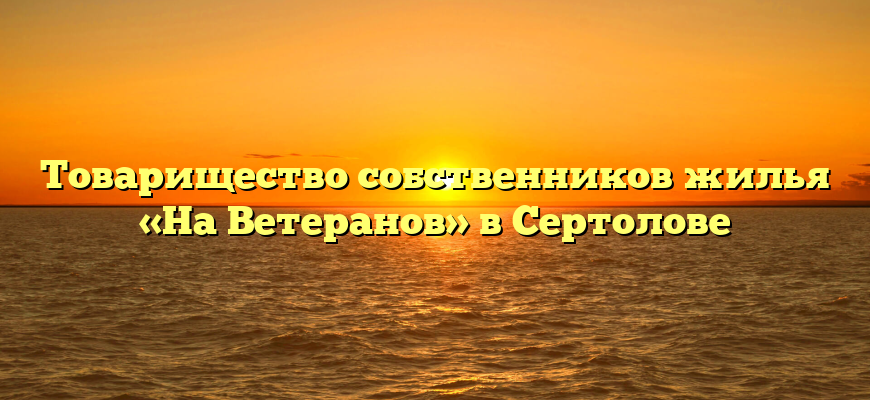 Товарищество собственников жилья «На Ветеранов» в Сертолове