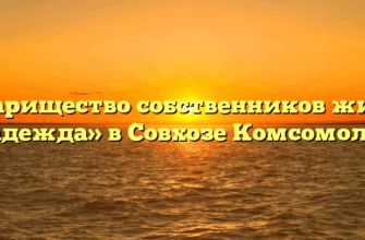 Товарищество собственников жилья «Надежда» в Совхозе Комсомолеце