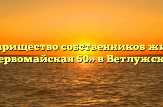 Товарищество собственников жилья «Первомайская 60» в Ветлужском