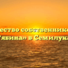 Товарищество собственников жилья «Рябина» в Семилуках