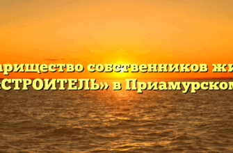 Товарищество собственников жилья «СТРОИТЕЛЬ» в Приамурском