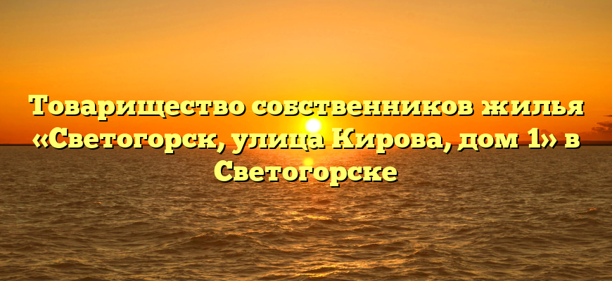 Товарищество собственников жилья «Светогорск, улица Кирова, дом 1» в Светогорске
