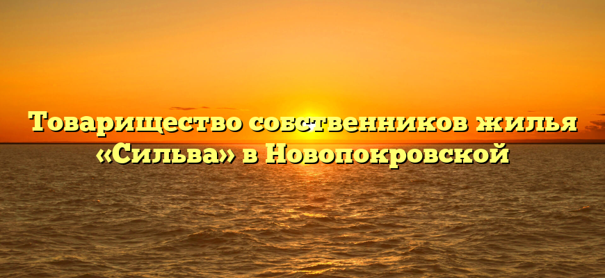 Товарищество собственников жилья «Сильва» в Новопокровской