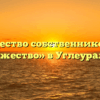 Товарищество собственников жилья «Содружество» в Углеуральском