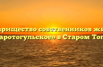 Товарищество собственников жилья «Старотогульское» в Старом Тогуле