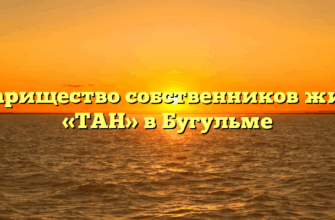 Товарищество собственников жилья «ТАН» в Бугульме