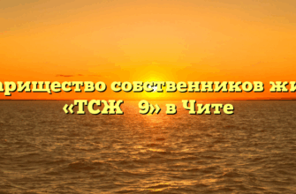 Товарищество собственников жилья «ТСЖ № 9» в Чите