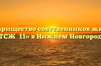 Товарищество собственников жилья «ТСЖ №11» в Нижнем Новгороде