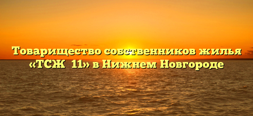 Товарищество собственников жилья «ТСЖ №11» в Нижнем Новгороде