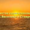 Товарищество собственников жилья «ТСЖ Василек» в Ставрополе