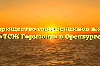 Товарищество собственников жилья «ТСЖ Горизонт» в Оренбурге
