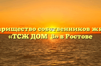 Товарищество собственников жилья «ТСЖ ДОМ №8» в Ростове
