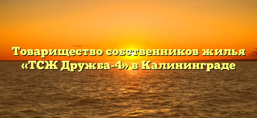 Товарищество собственников жилья «ТСЖ Дружба-4» в Калининграде