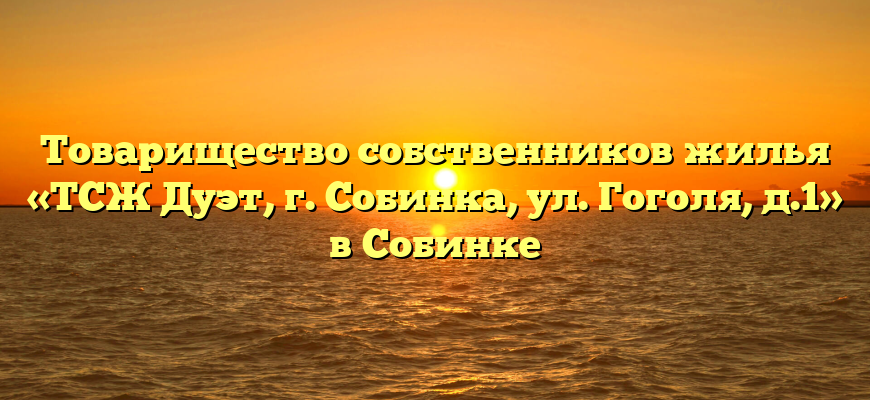 Товарищество собственников жилья «ТСЖ Дуэт, г. Собинка, ул. Гоголя, д.1» в Собинке