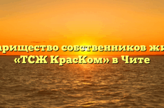 Товарищество собственников жилья «ТСЖ КрасКом» в Чите
