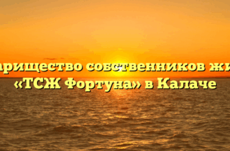 Товарищество собственников жилья «ТСЖ Фортуна» в Калаче