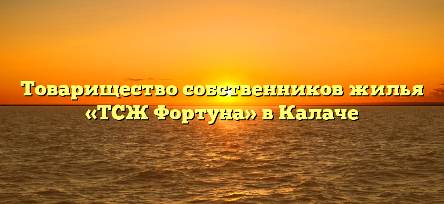 Товарищество собственников жилья «ТСЖ Фортуна» в Калаче