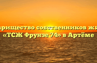 Товарищество собственников жилья «ТСЖ Фрунзе 74» в Артёме