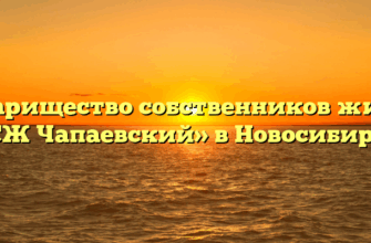 Товарищество собственников жилья «ТСЖ Чапаевский» в Новосибирске