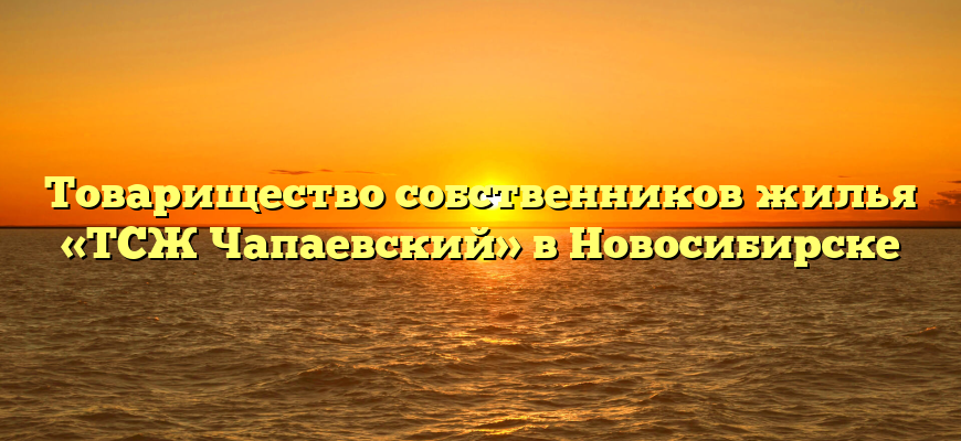 Товарищество собственников жилья «ТСЖ Чапаевский» в Новосибирске