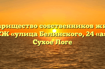 Товарищество собственников жилья «ТСЖ «улица Белинского, 24 «а»» в Сухое Логе