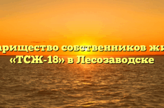 Товарищество собственников жилья «ТСЖ-18» в Лесозаводске