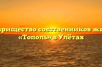 Товарищество собственников жилья «Тополь» в Улётах