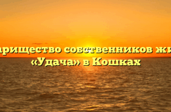 Товарищество собственников жилья «Удача» в Кошках