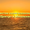 Товарищество собственников жилья «Центр» в Мишкине