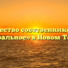 Товарищество собственников жилья «Центральное» в Новом Торъяле