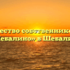 Товарищество собственников жилья «Шебалино» в Шебалине