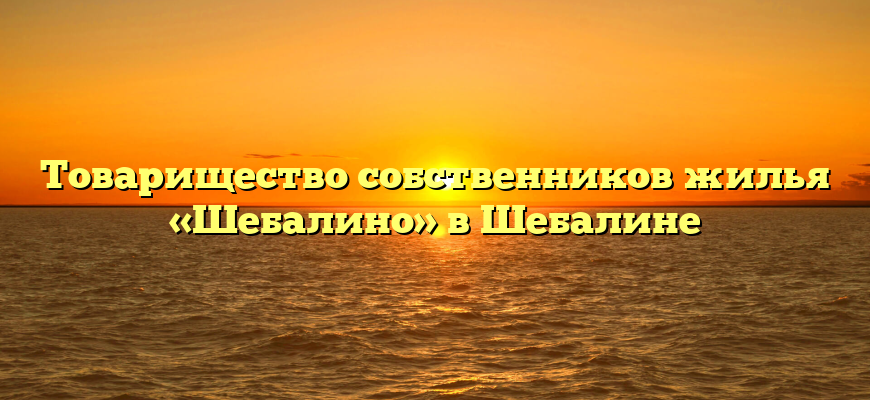 Товарищество собственников жилья «Шебалино» в Шебалине