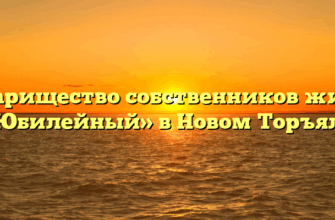 Товарищество собственников жилья «Юбилейный» в Новом Торъяле