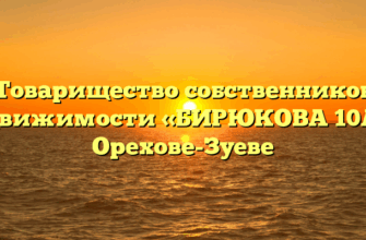 Товарищество собственников недвижимости «БИРЮКОВА 10А» в Орехове-Зуеве