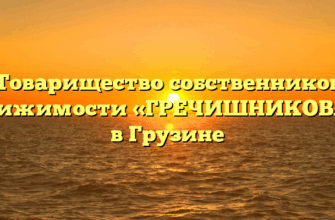 Товарищество собственников недвижимости «ГРЕЧИШНИКОВА 10» в Грузине