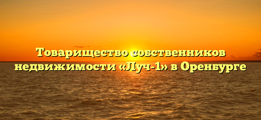 Товарищество собственников недвижимости «Луч-1» в Оренбурге