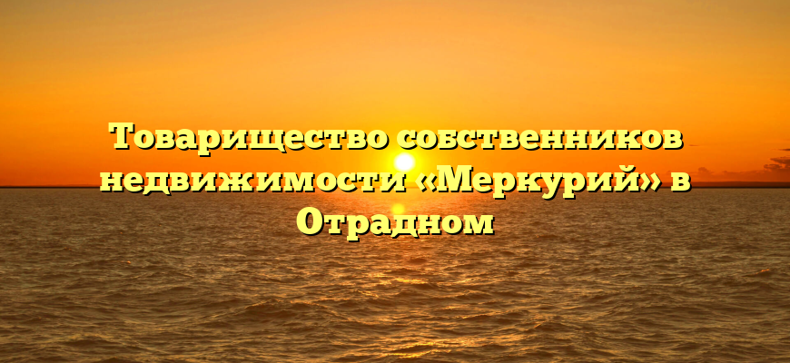 Товарищество собственников недвижимости «Меркурий» в Отрадном