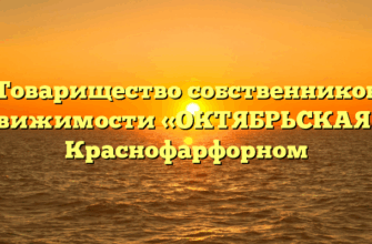 Товарищество собственников недвижимости «ОКТЯБРЬСКАЯ 8» в Краснофарфорном