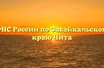 УФНС России по Забайкальскому краю Чита