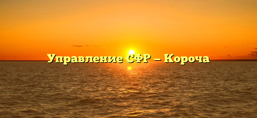 Управление СФР — Короча