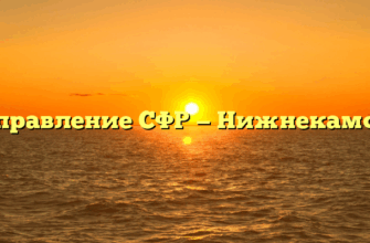 Управление СФР — Нижнекамск