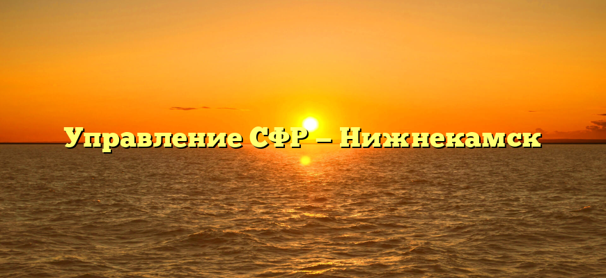 Управление СФР — Нижнекамск