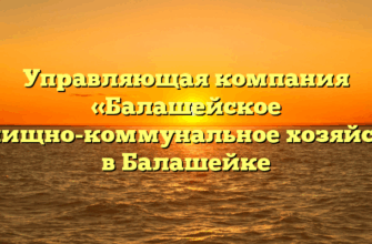 Управляющая компания «Балашейское жилищно-коммунальное хозяйство» в Балашейке
