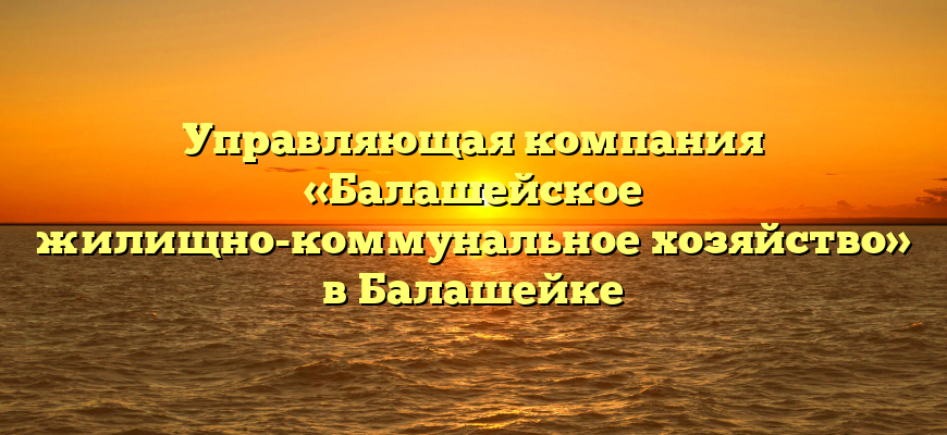 Управляющая компания «Балашейское жилищно-коммунальное хозяйство» в Балашейке