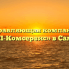Управляющая компания «ВИП-Комсервис» в Самаре