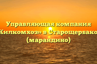Управляющая компания «Жилкомхоз» в Старощербакове (марандино)
