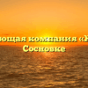 Управляющая компания «Жилье» в Сосновке
