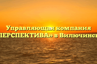 Управляющая компания «ПЕРСПЕКТИВА» в Вилючинске