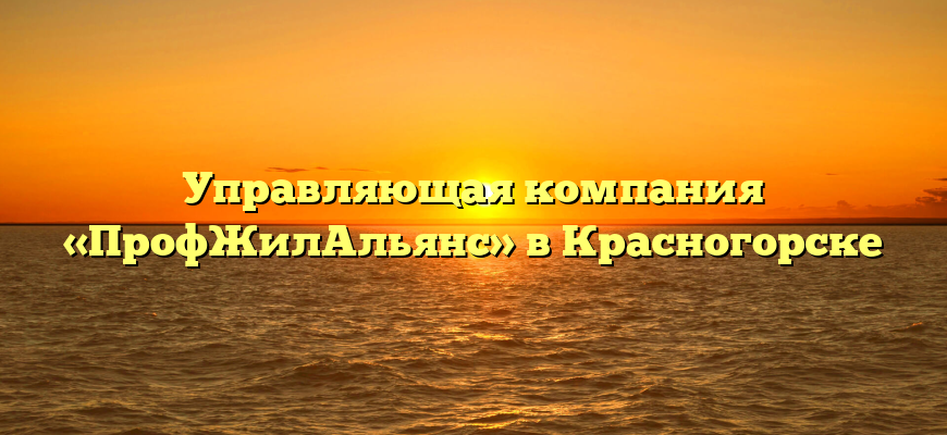 Управляющая компания «ПрофЖилАльянс» в Красногорске