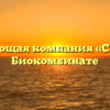 Управляющая компания «СПЕКТР» в Биокомбинате